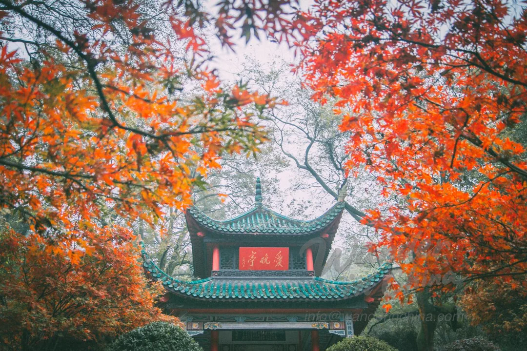 Aiwan Pavilion: A Stunning Retreat on Changsha's Yuelu Mountain Thumbnail