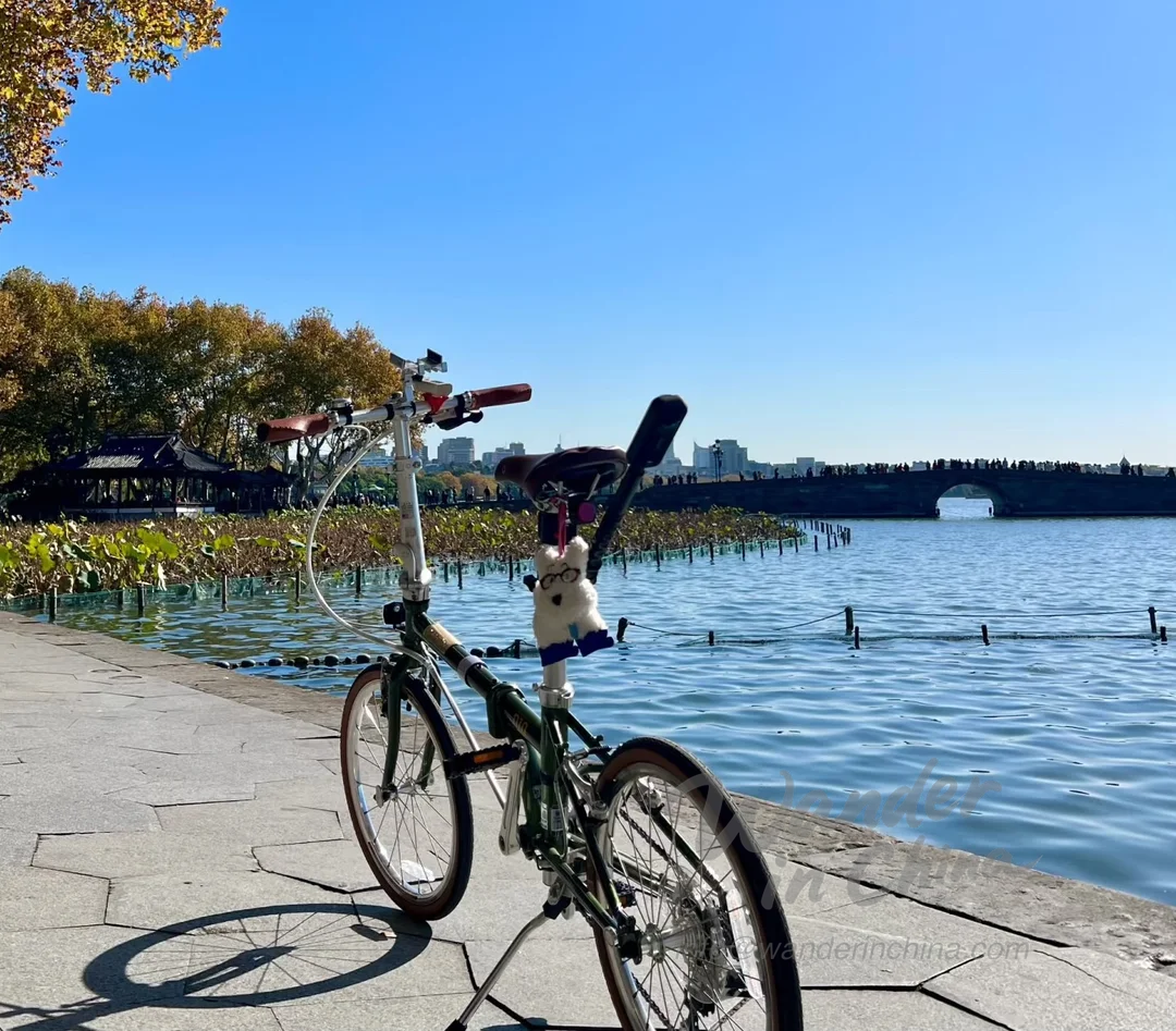 Cyclist enjoying a scenic ride around West Lake, Hangzhou.