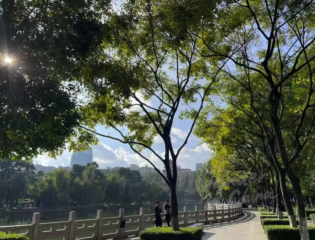 Parque del Lago Verde de Kunming, ejercicio matutino.