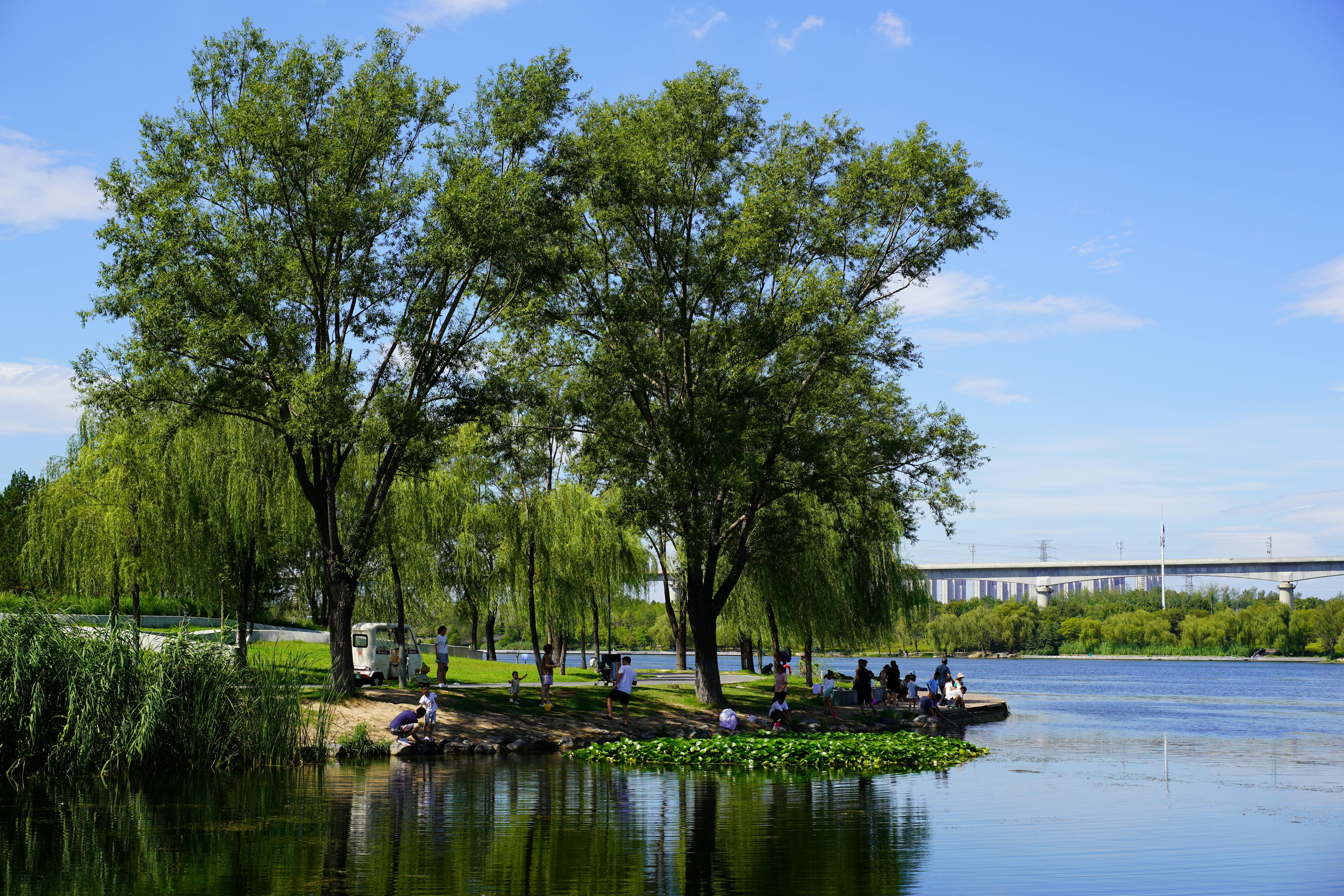 Parque Haigeng en el Lago Dianchi con picnic familiar.