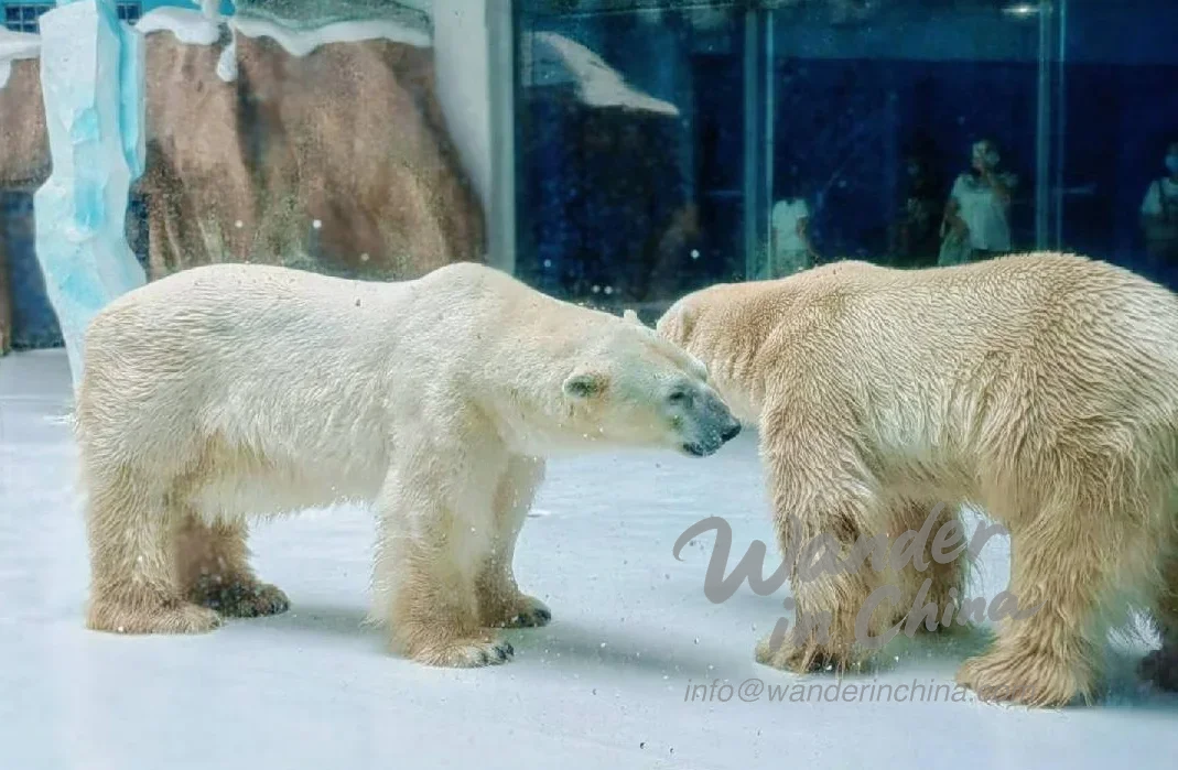 Harbin Polarland exterieur in de winter.