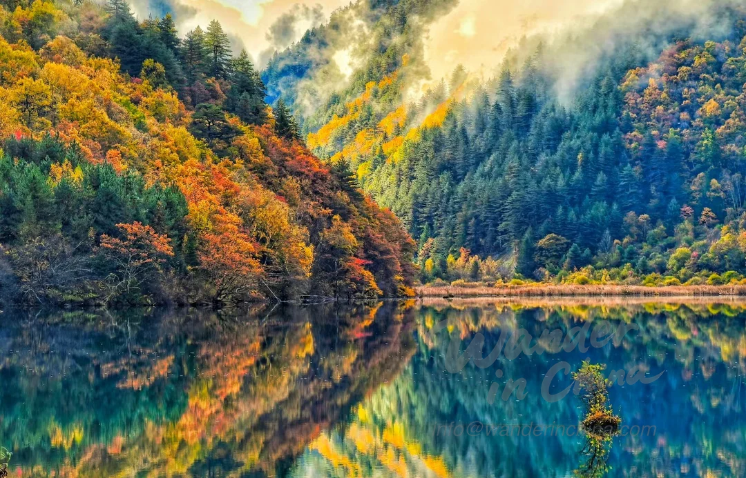 Colores otoñales del valle de Jiuzhaigou que se reflejan en un lago.