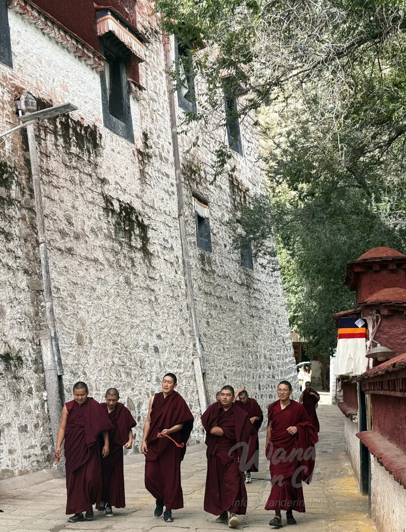 Nahaufnahme der Mönchsdebatten im Sera-Kloster.