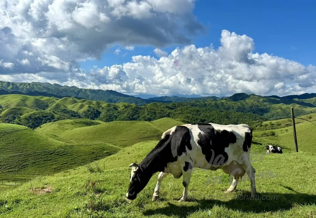 우루무치 남산 목장(Nanshan): 완벽한 하루 자연 속 탈출