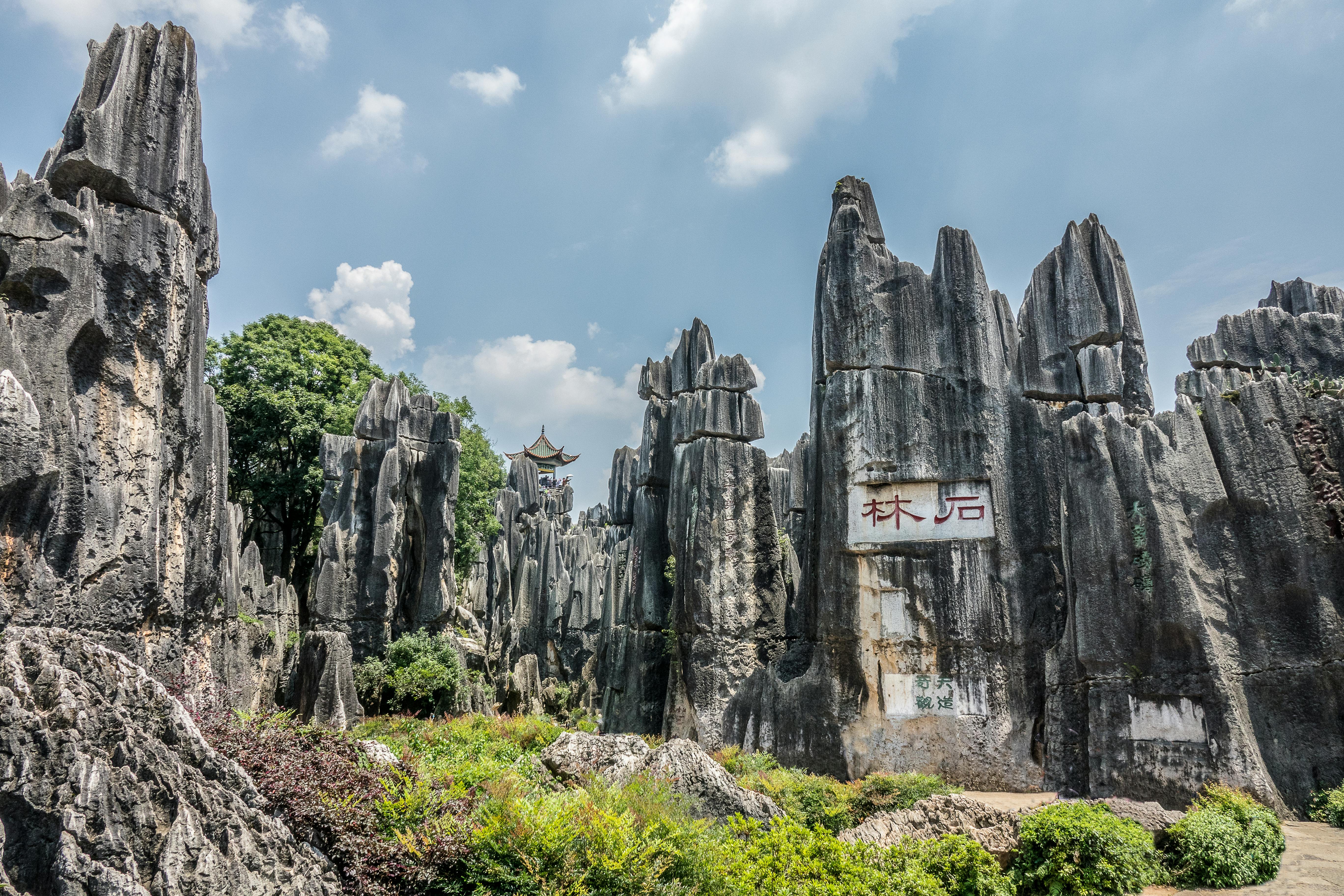 Explore the Stone Forest: A Kunming Geological Wonder Thumbnail