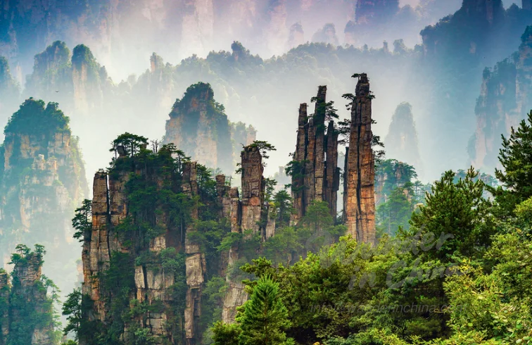 Tianzi Mountain Zhangjiajie sea of clouds.