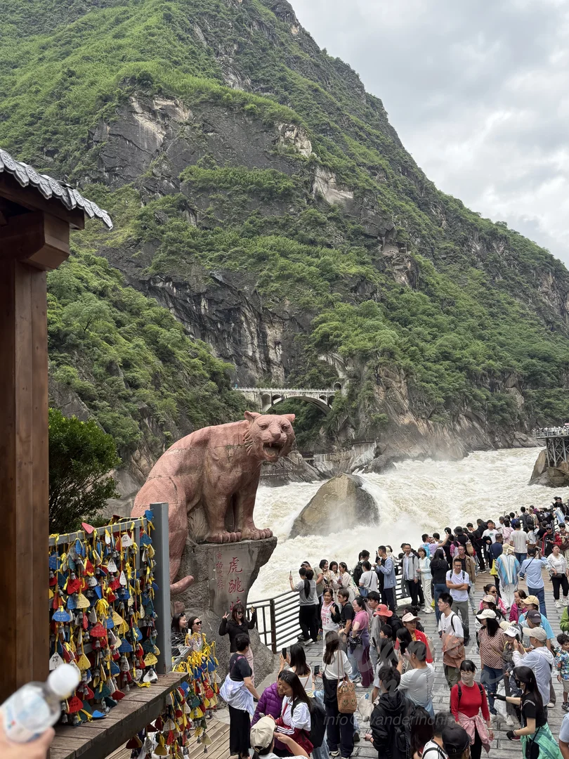 Aussicht auf die Tiger Leaping Schlucht.