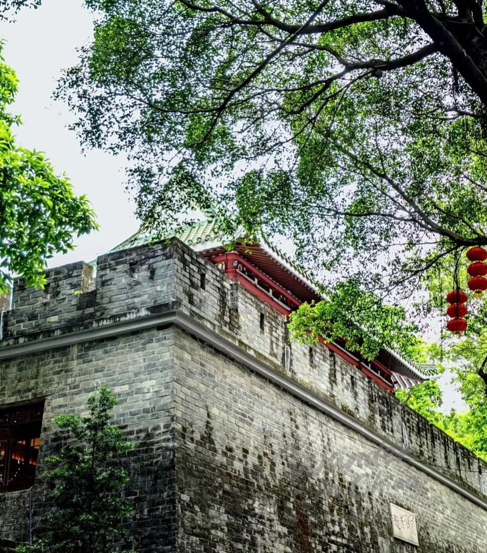 越秀公园:你的广州绿色绿洲终极指南