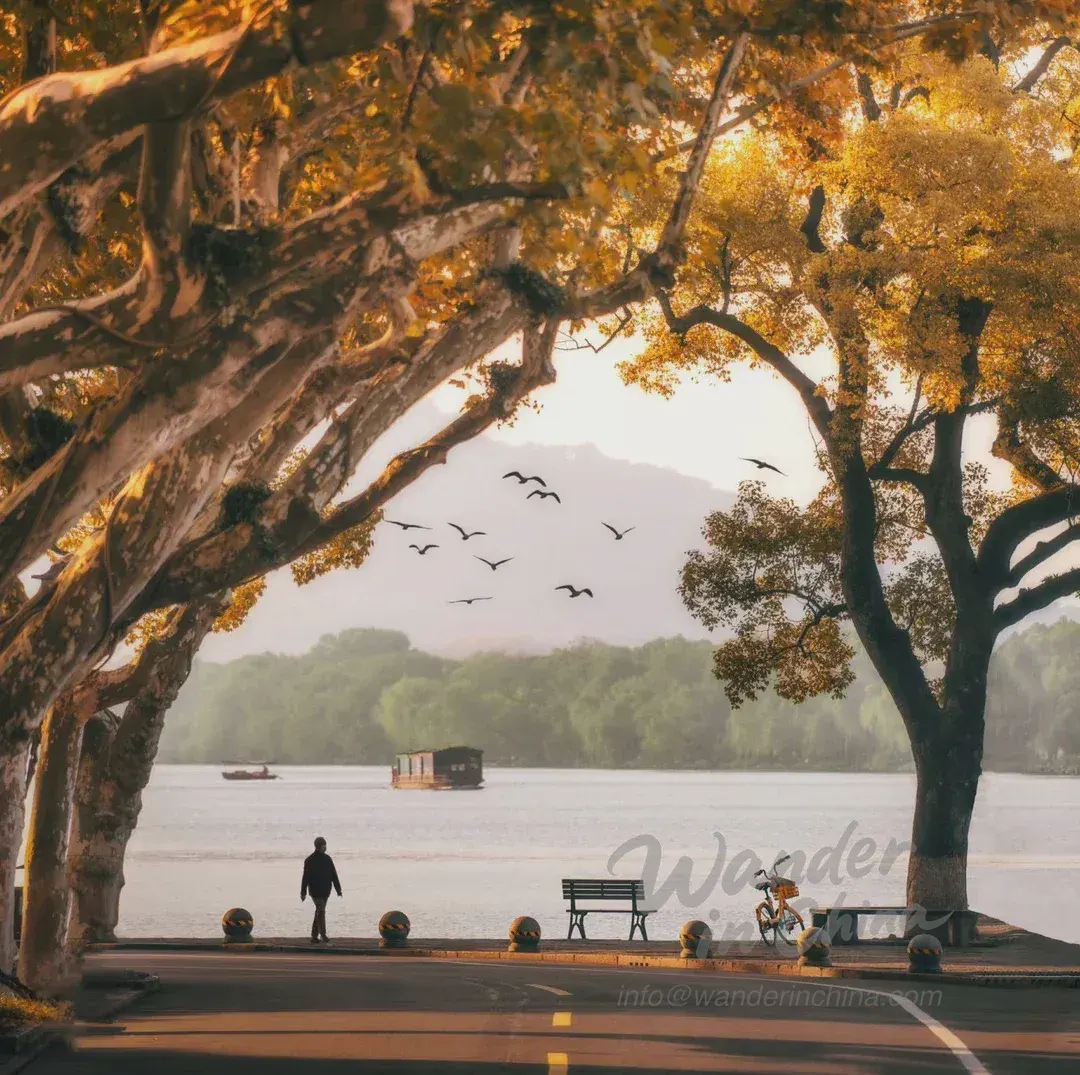 서호의 부러진 다리에서 경치를 감상하는 자전거 타는 사람.