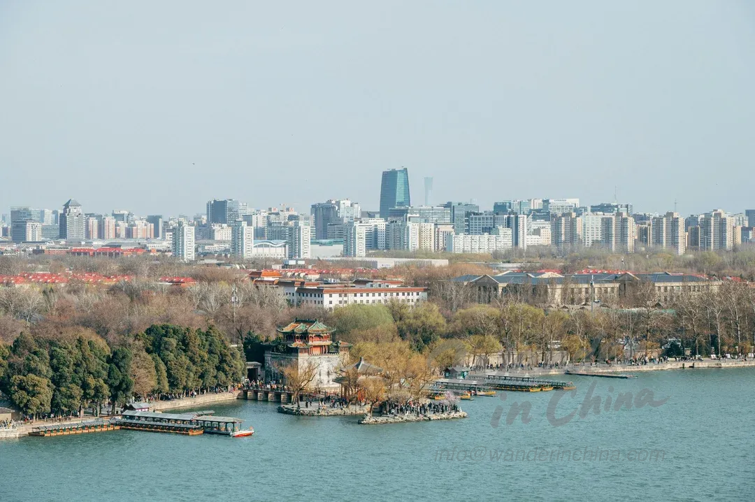 探索翠湖公園：昆明的湖畔綠洲和海鷗棲息地
