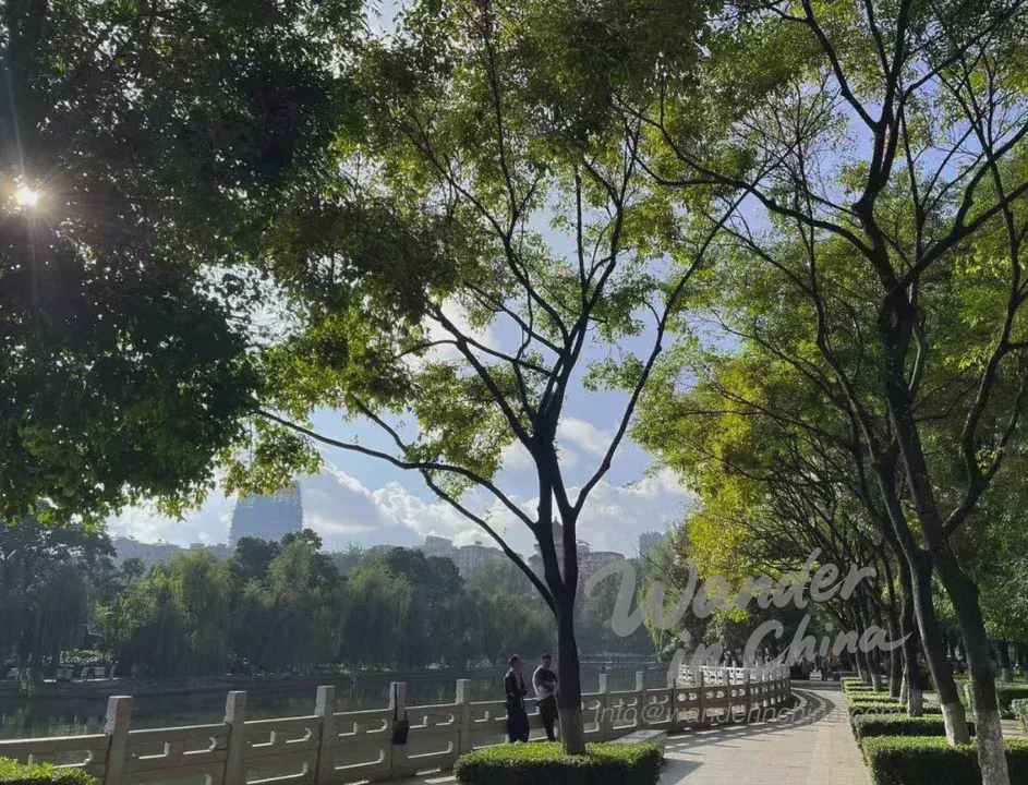 昆明翠湖公園早鍛煉。