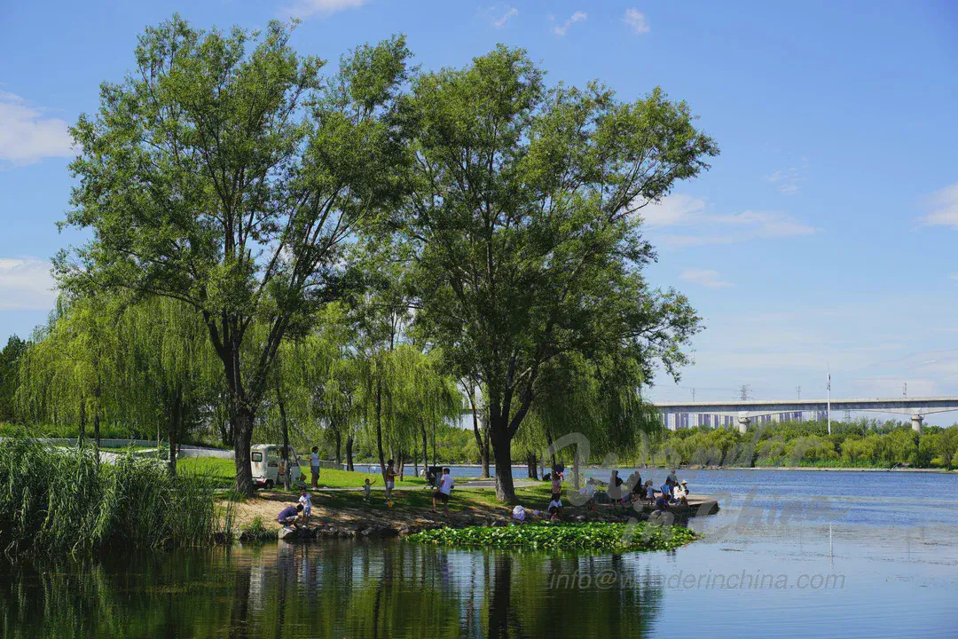 滇池海埂公園與家庭野餐。