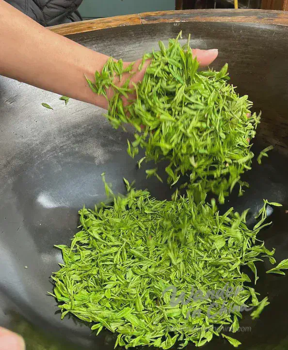 Hand-firing Longjing Tea.