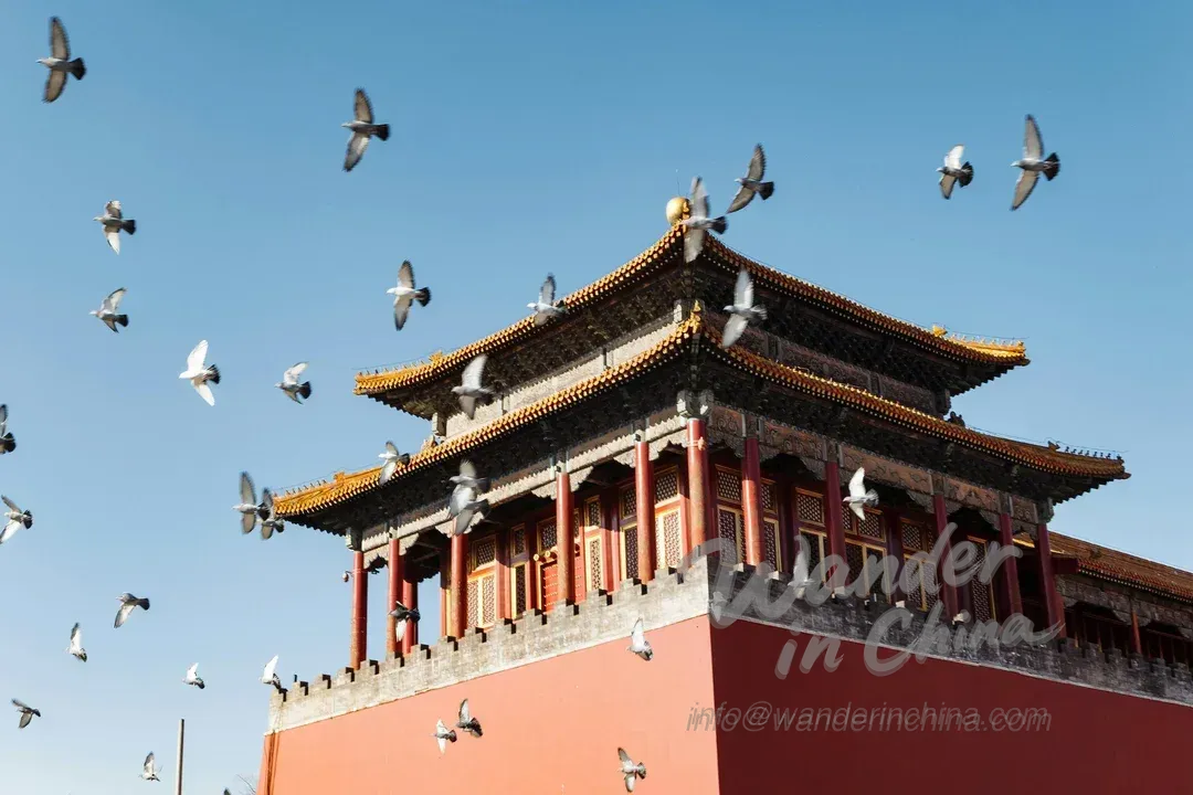 Discovering Forbidden City Architecture: Symbolism & Design