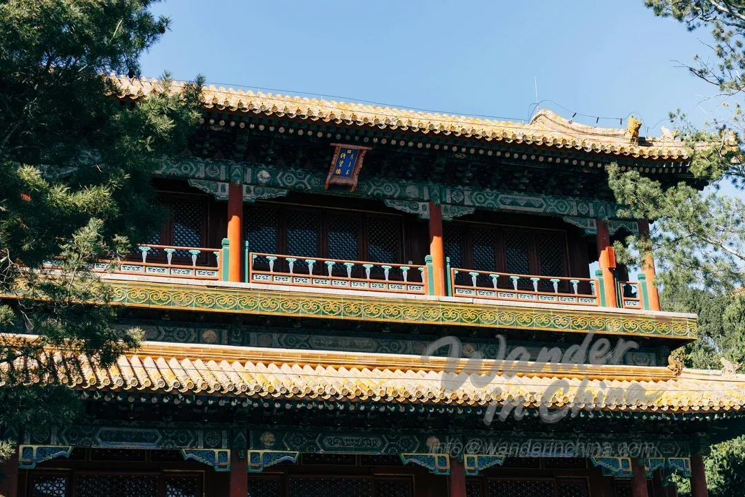 Découverte de la Galerie des Trésors de la Cité Interdite : Joyaux et Artefacts