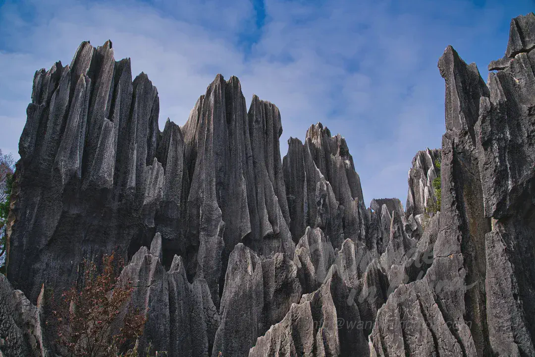 Towering limestone formations in the Stone Forest, Yunnan, China.