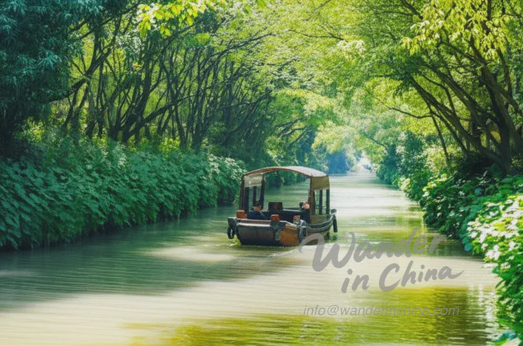 杭州西溪濕地公園的傳統遊船之旅。