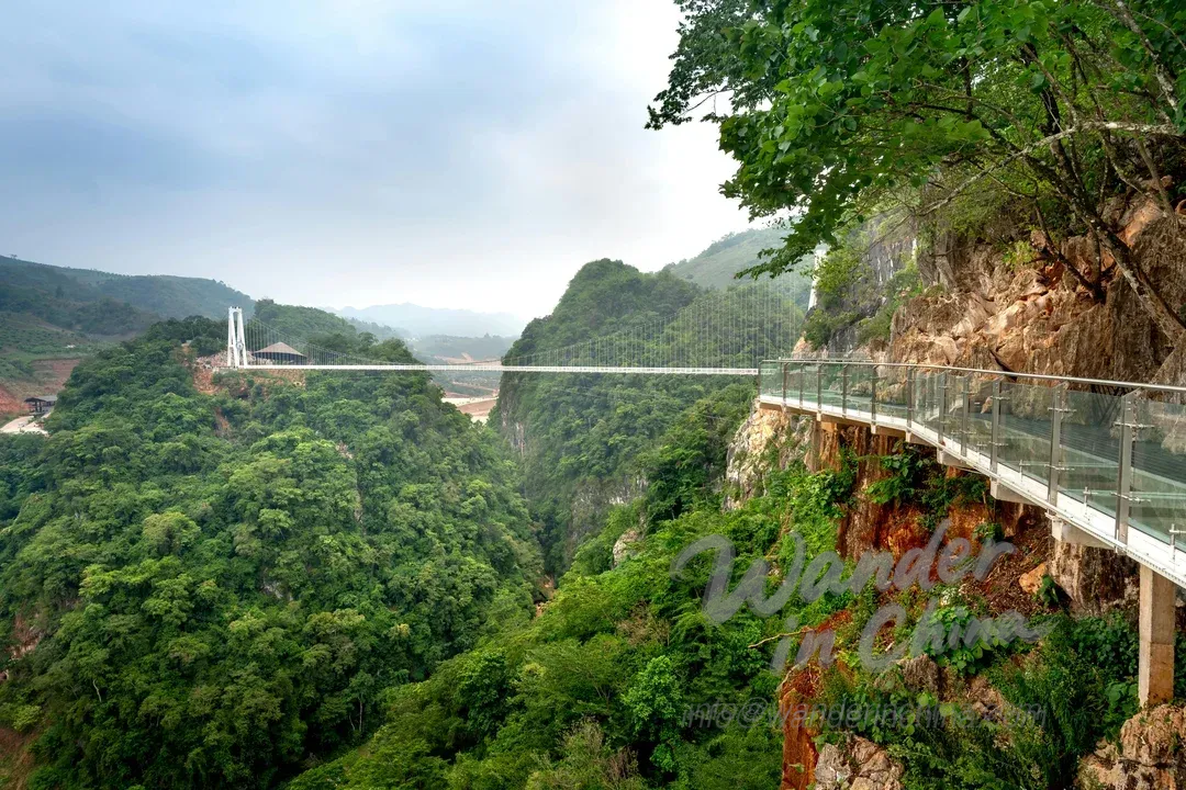 Pont de Verre et Grand Canyon de Zhangjiajie : Sensations Fortes pour le Touriste
