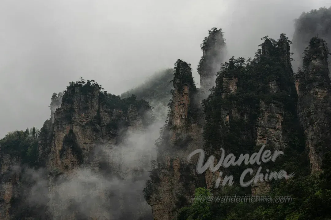 張家界國家森林公園：外國遊客旅遊指南